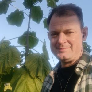 Paulownia en France - 17 October 2025